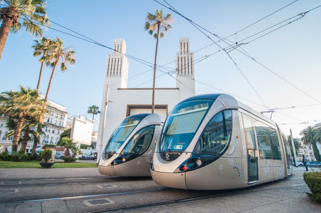 Two Rabat-Sale tramway trains parked at a station lined with palm trees and a historic clock tower