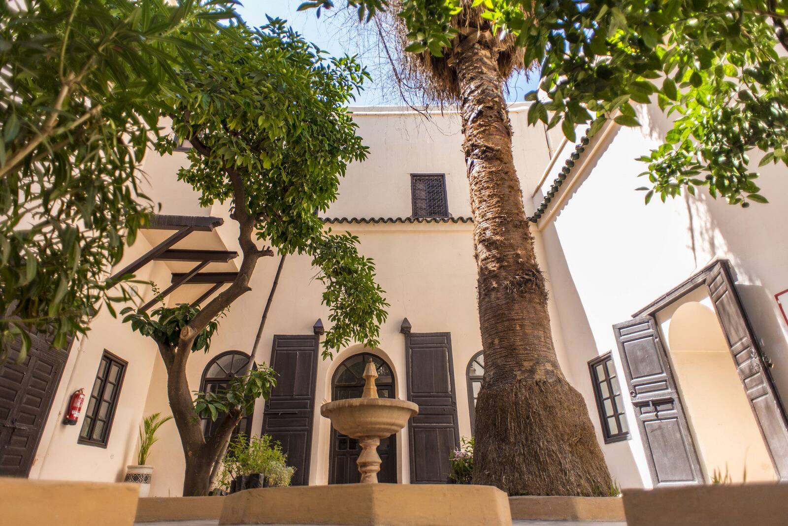 Courtyard of a traditional riad-style building with tall palm and citrus trees, a small central fountain, and dark wood-shuttered windows
