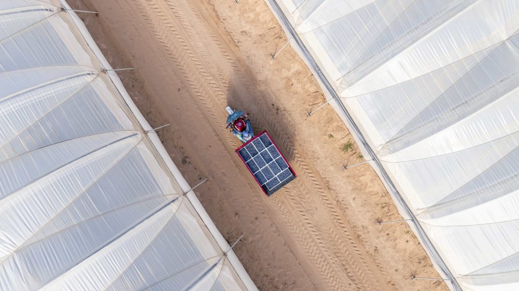 Agrovision