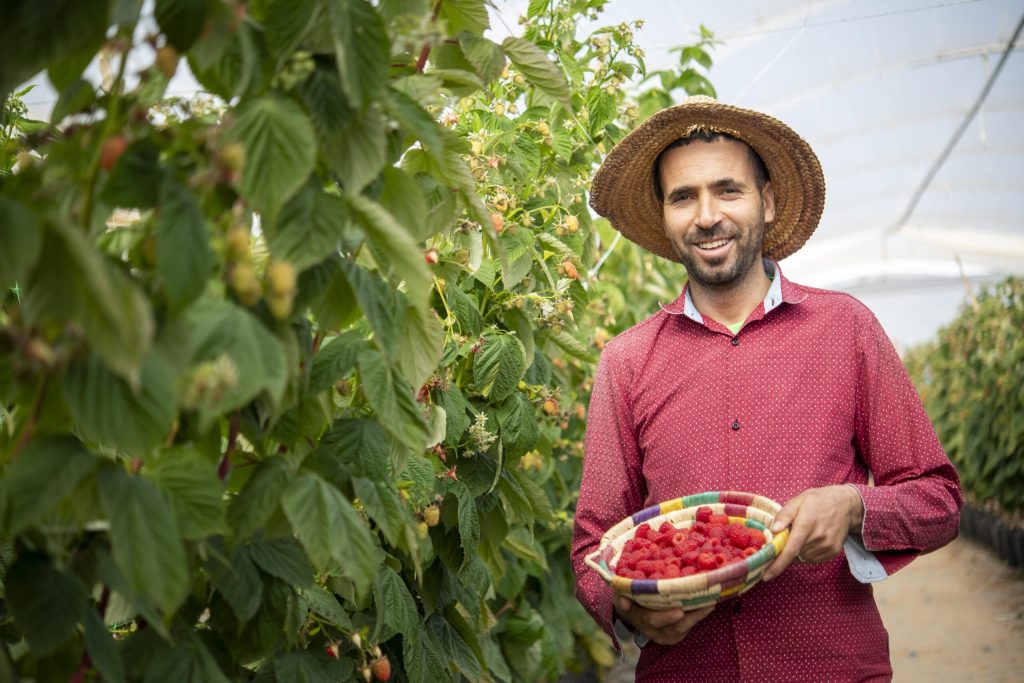 Agrovision