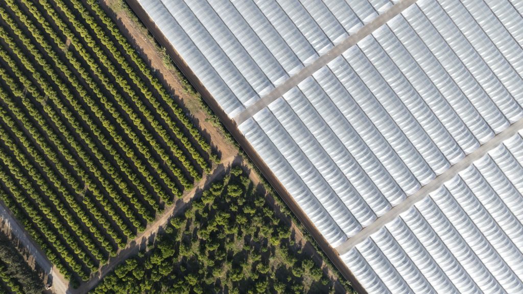 Agrovision