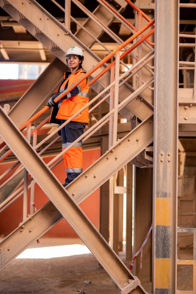 Danish Industry