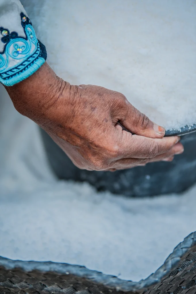 Salt Women