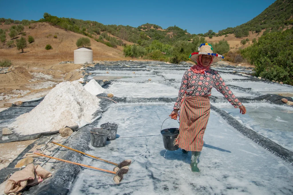 Salt Women